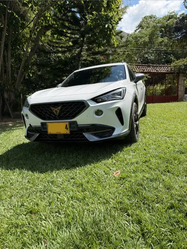 Cupra Formentor 2.0 TSI polarizado