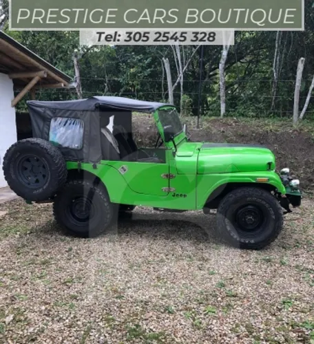 Jeep Willys CJ3B 1955