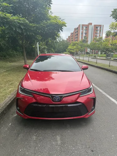 Toyota Corolla Híbrido SEG 2023