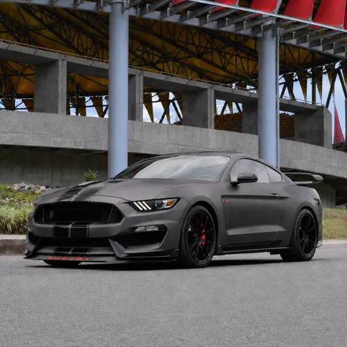 FORD MUSTANG SHELBY GT 350