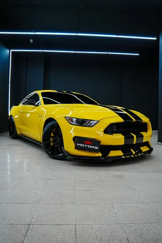 FORD MUSTANG SHELBY GT350
