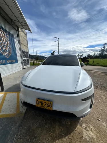 Tesla Model Y Dual Motor Long Range - 20 Blanco Perlado