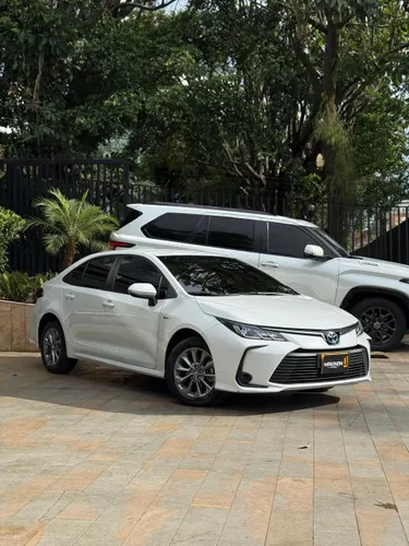 Toyota Corolla XLI