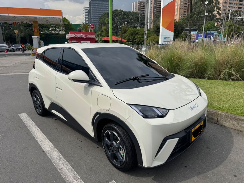 Seagull GS 410 2025 - imagen secundaria 1