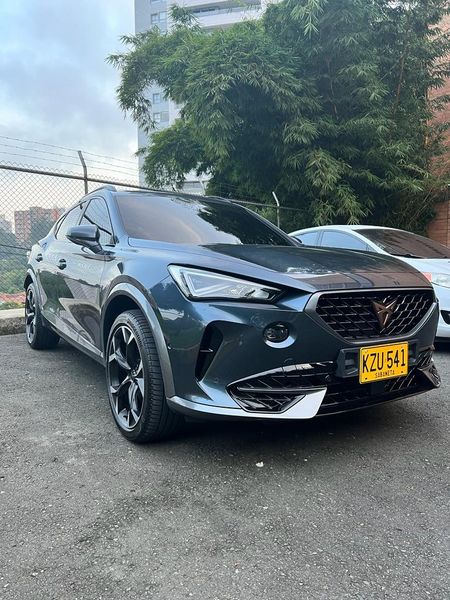 Cupra Formentor 2.0 TSI Metalizada - imagen secundaria 1