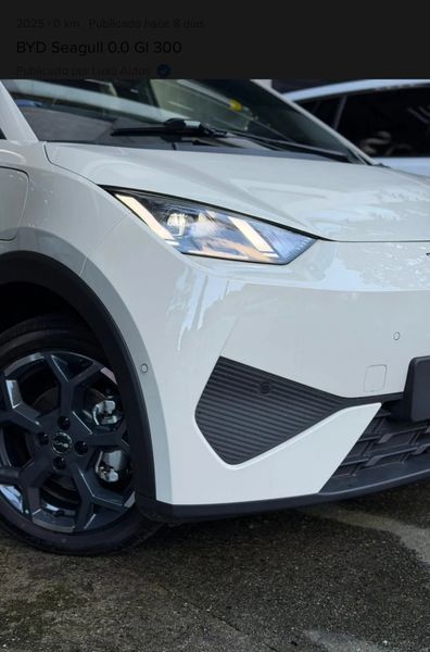 Byd Seagull 0.0 Gl 300 - imagen secundaria 1