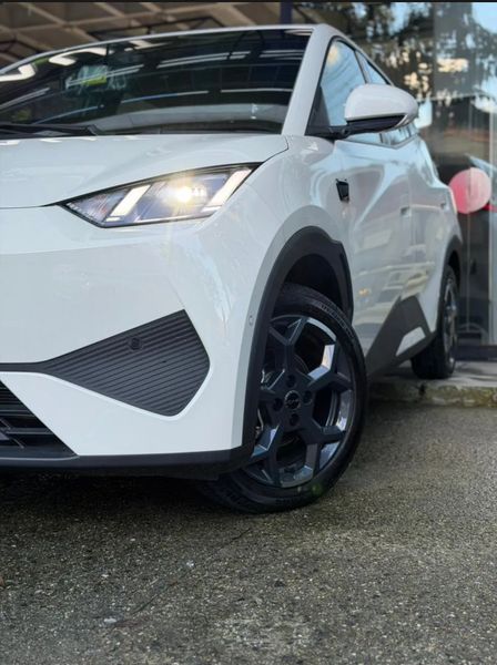 Byd Seagull 0.0 Gl 300 - imagen secundaria 2