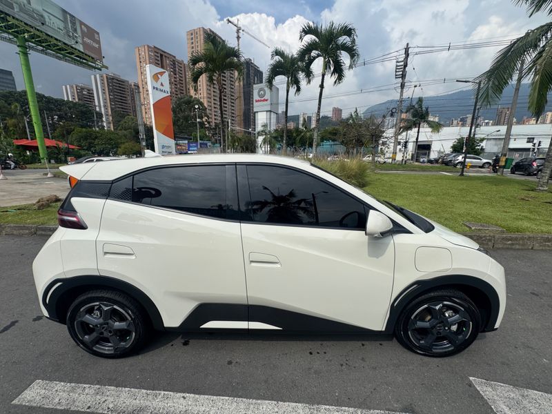 Seagull GS 410 2025 - imagen secundaria 2