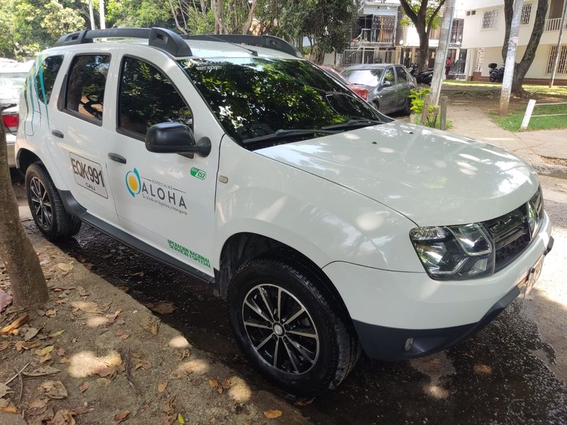 Renault Duster 2019 - imagen secundaria 1