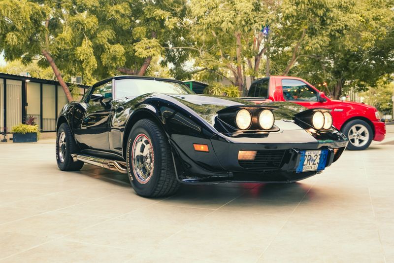 Chevrolet Corvette C3 1979 - imagen secundaria 1